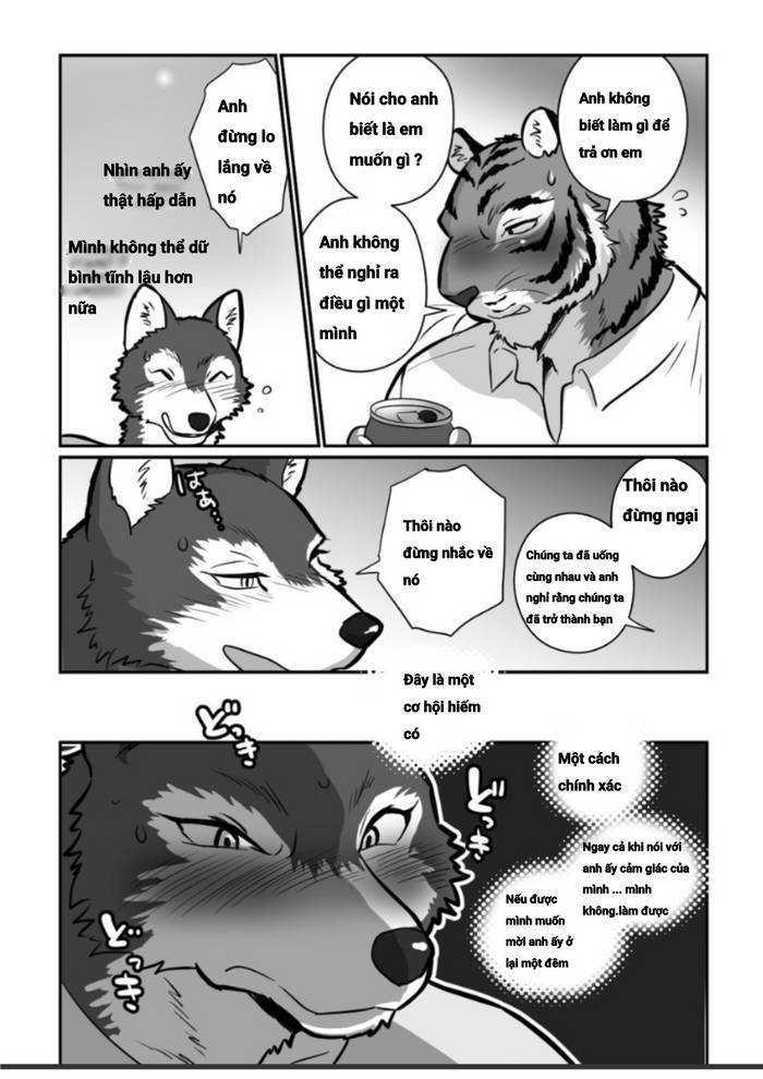 Giáo viên sói và bố hổ - Trang 13