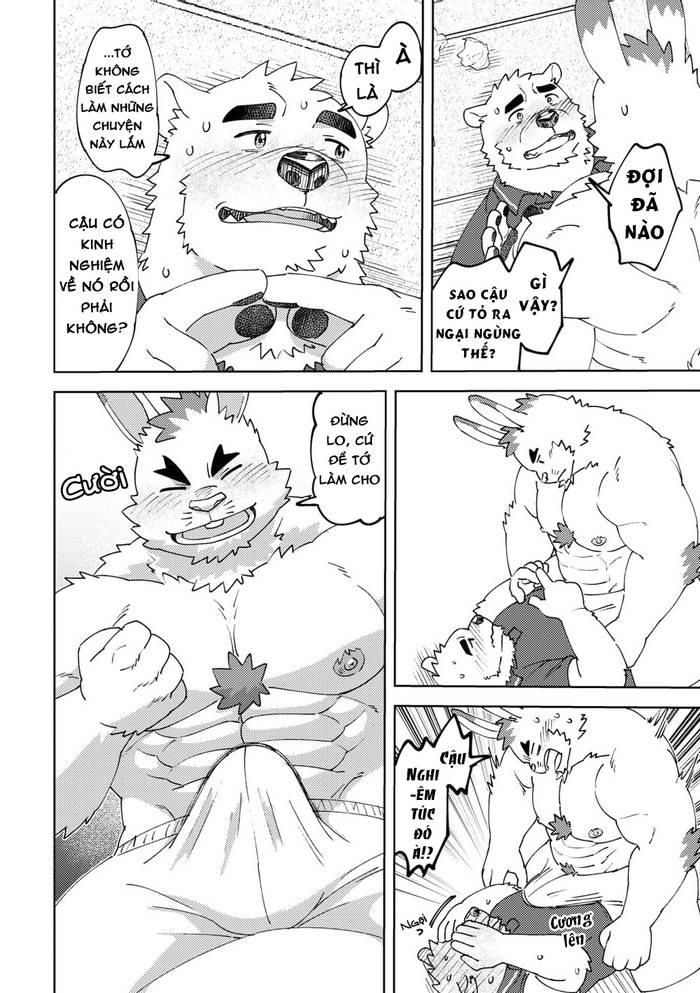 Shirokuma-kun To Irousagi (Gấu và Thỏ) - Trang 18