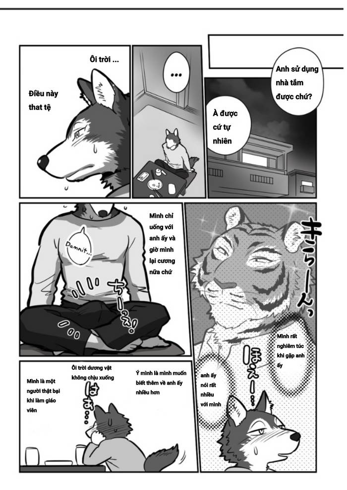 Giáo viên sói và bố hổ - Trang 11